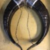 Handmade drinking horn - Image 2